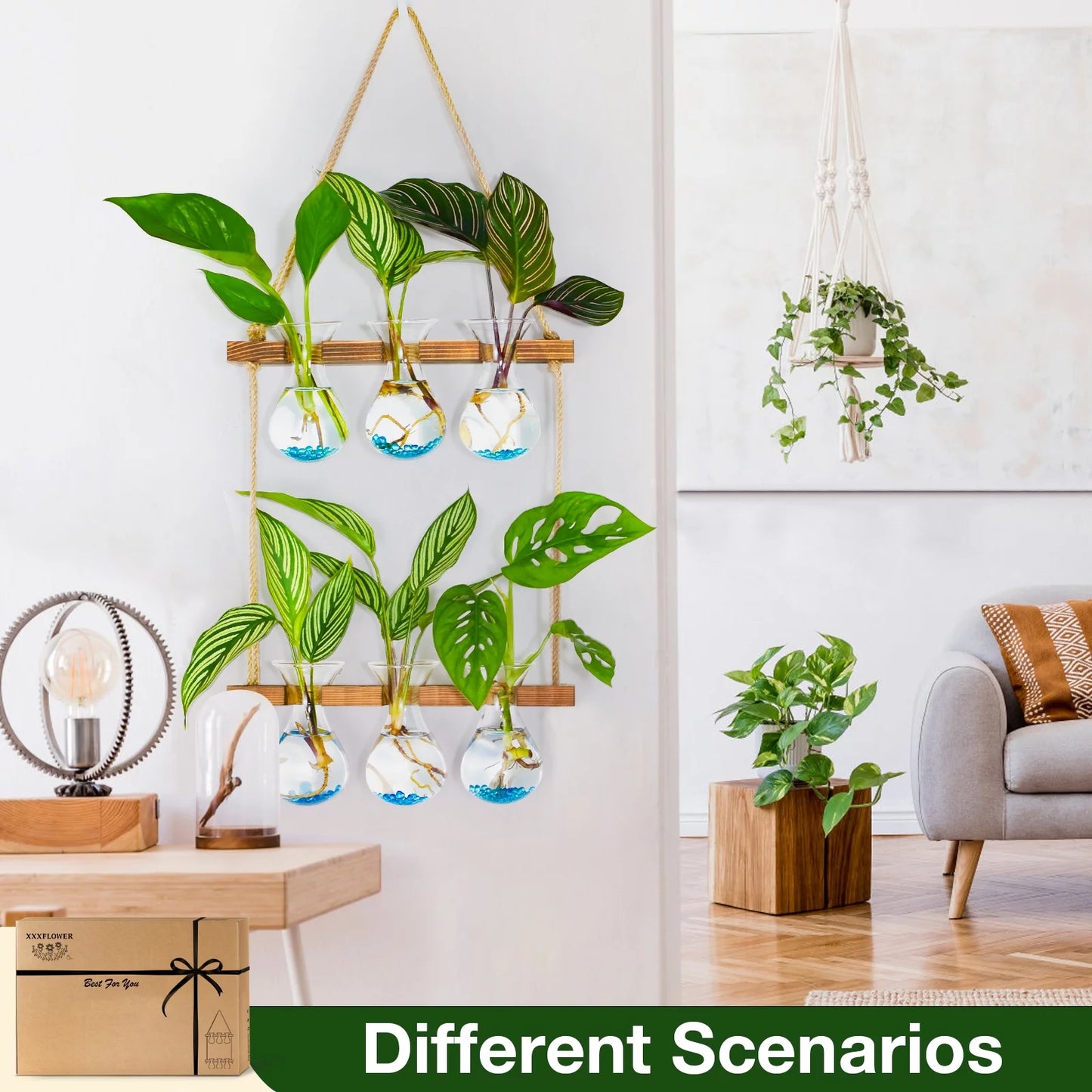 Wall Hanging Propagation Station with Wooden Stand 3 Bulb Vase 2 Tiered Planters Wall Terrarium for Home Office Plant Hanger Flower Vases Wall Decor